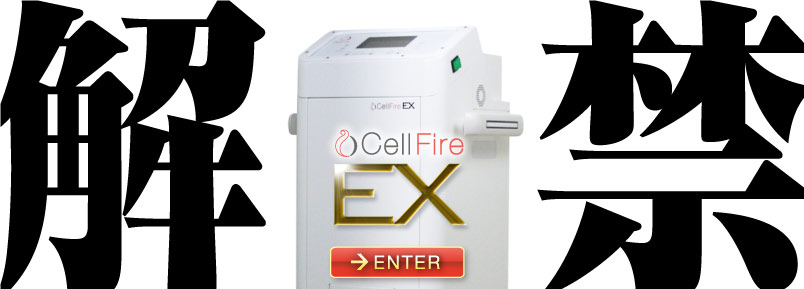 解禁　CellFire EX