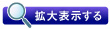 拡大表示する